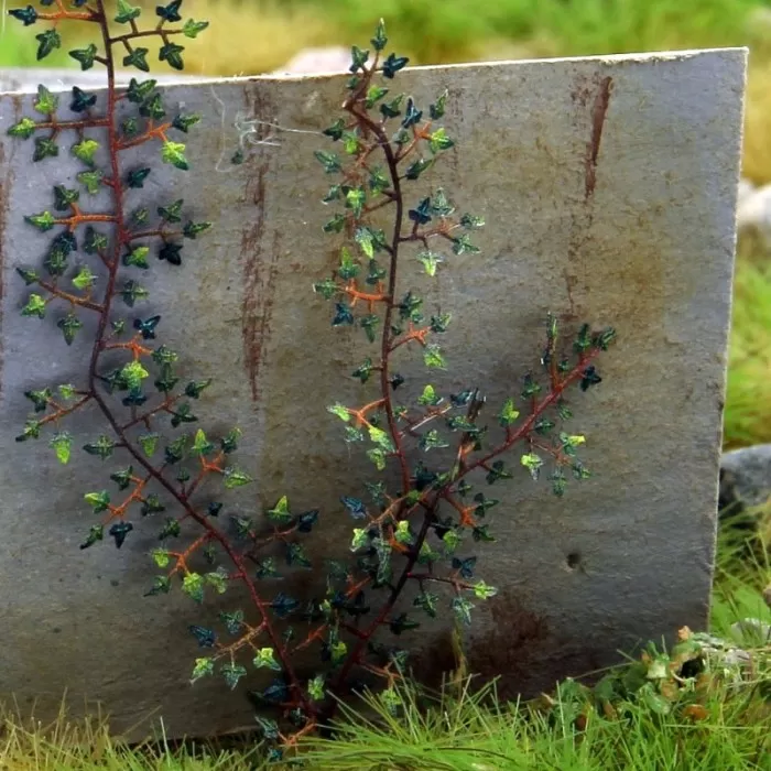 Ivy OO Model Scene VG7-229