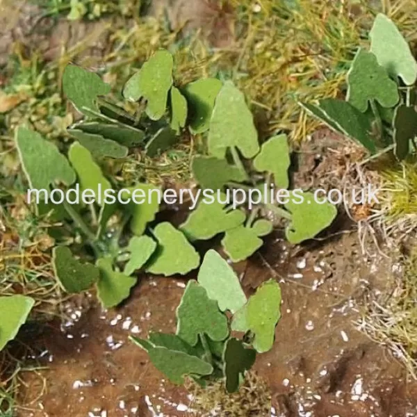 Leafy plants Burdock