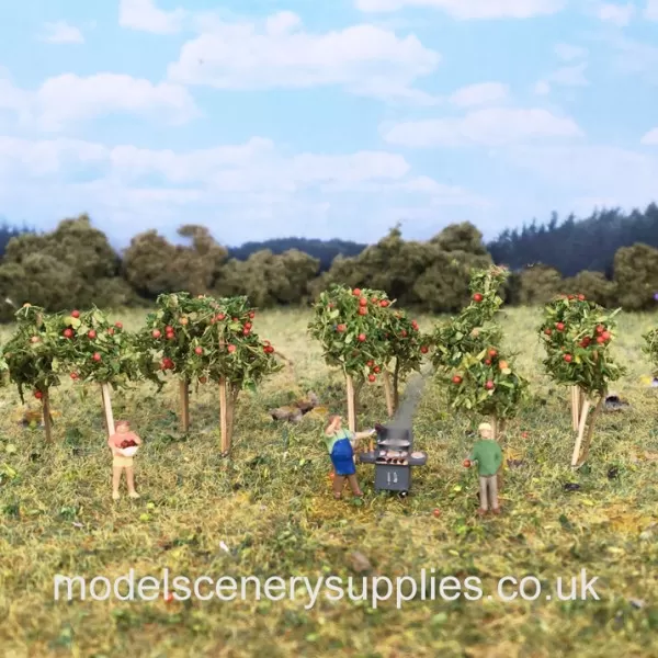 Apple Sapling N Gauge