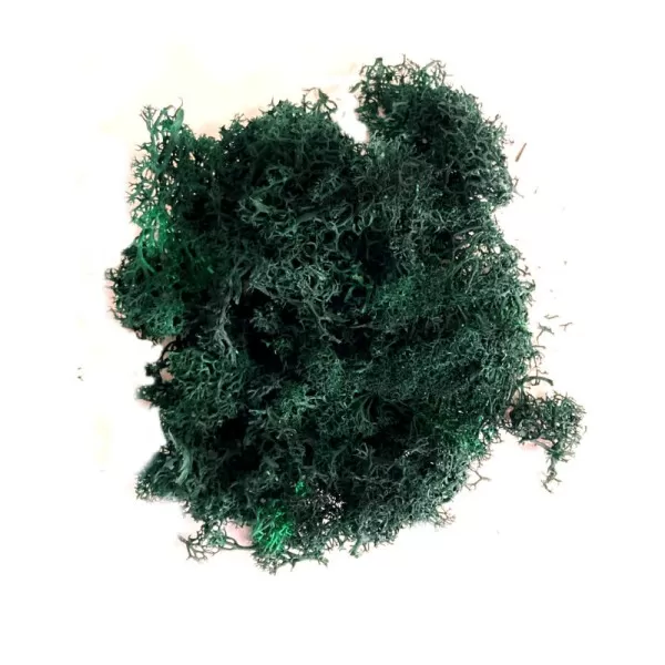 Lichen Dark Green Natural Scenics 