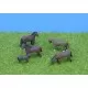 Horses N Gauge  