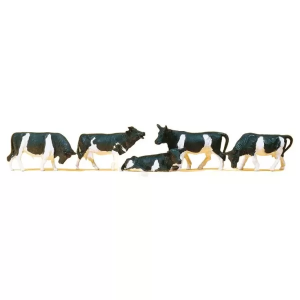 Cows Black and white  OO