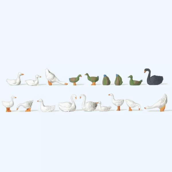 Ducks  Geese  Swans OO Preiser 14167