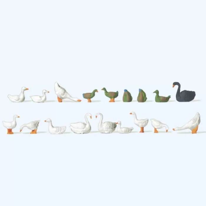 Ducks  Geese  Swans OO Preiser 14167