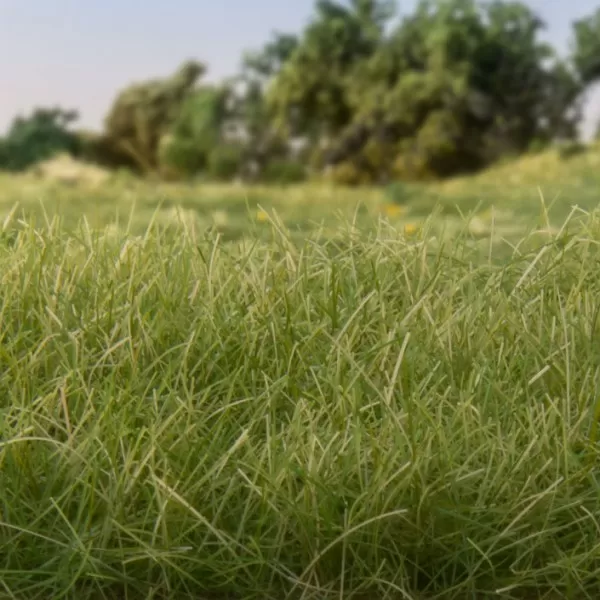 Static grass Medium Green 12mm Woodland Scenics FS626