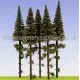 Spruce Trees with dead branches 150mm tall Model Scene SK150