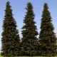 Spruce Trees 200mm tall Model Scene SM200