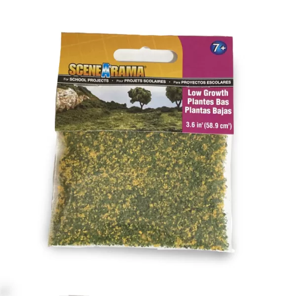 Flower Meadow Coarse Low Growth