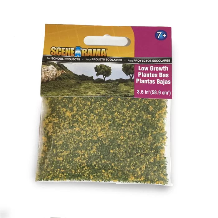 Flower Meadow Coarse Low Growth