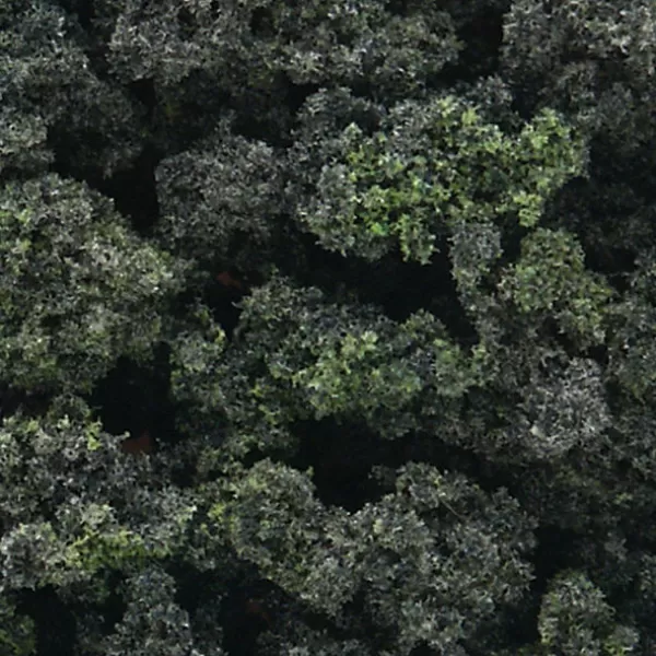 Bushes Coarse Foliage Ground Cover Small Pack