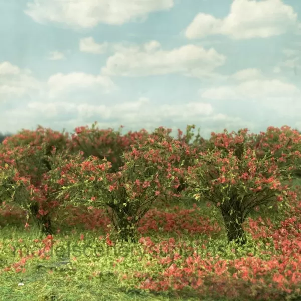 Bushes Red Flowering 30mm Tall Silhouette 252-27