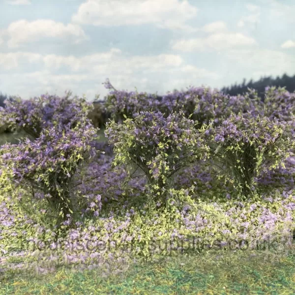 Bushes Violet Flowering 30mm Tall Silhouette 252-28