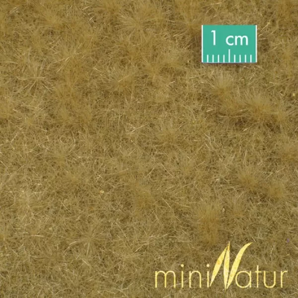 Landscape Mat Grass, Cattle Pasture Late Autumn miniNatur 713-24
