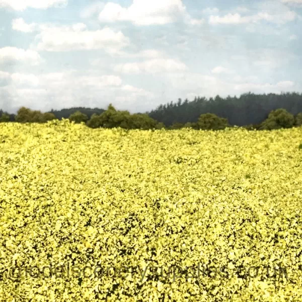 Rape Seed Field  miniNatur 760-22