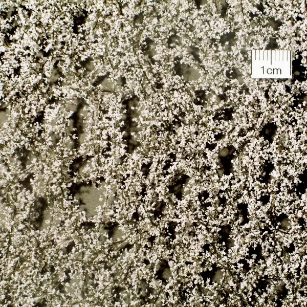 Small Blossom Foliage Sheet MiniNatur 927-21