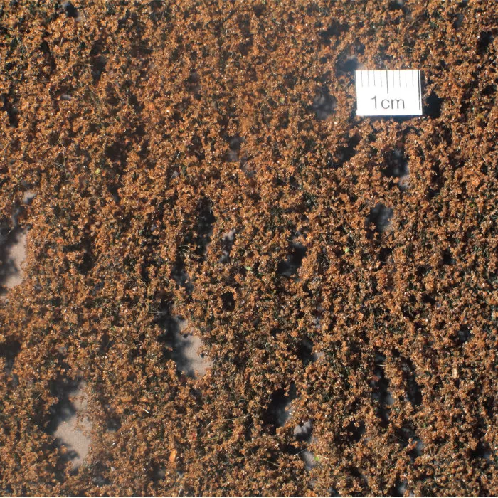 Fine Foliage and Ground Cover Sheets Late Autumn Winter MiniNatur 980-14