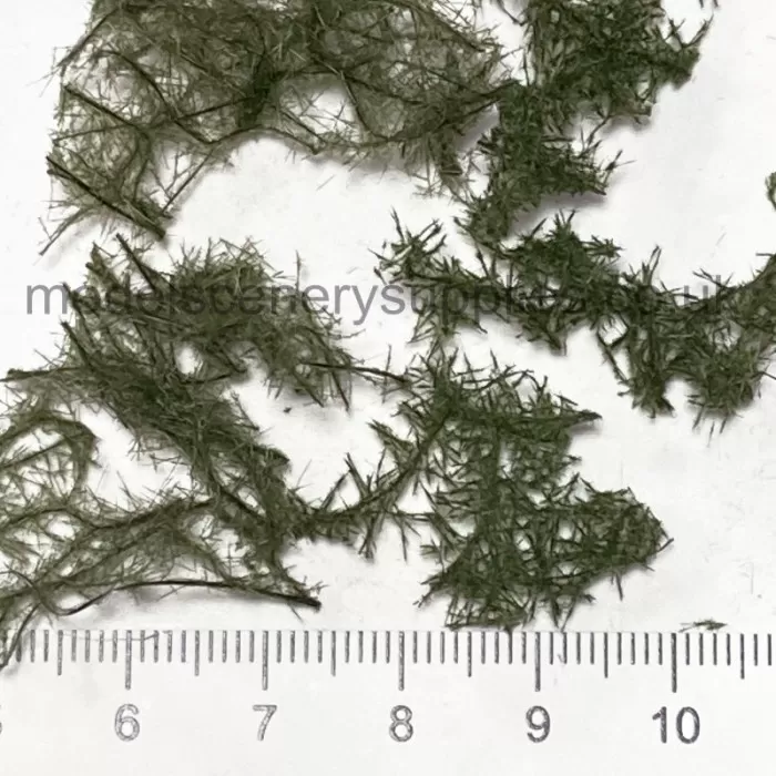 Ground cover Bracken Fern MIX miniNatur