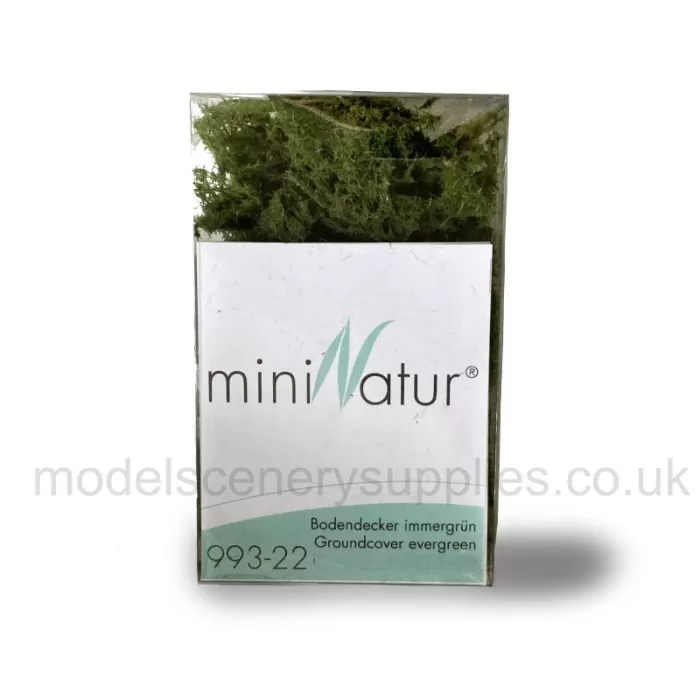 Ground cover Bracken Fern LIGHT miniNatur 993-22