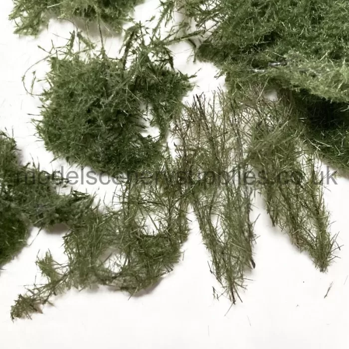 Ground cover Bracken Fern MIX miniNatur