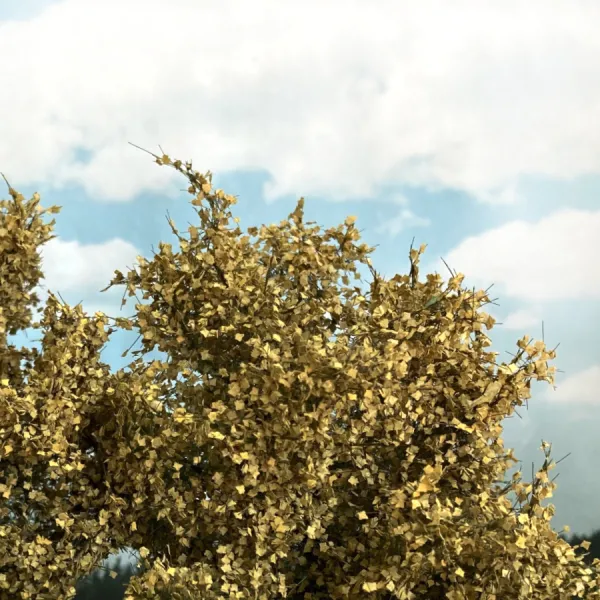 Maple Trees Early Autumn Yellow 75mm tall (2pack) Silhouette 230-64