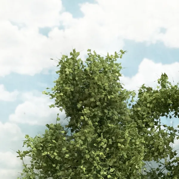 Chestnut Trees Spring 75mm tall (2pack) Silhouette 291-61