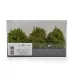 Bushes Spring Green 60mm Tall Silhouette 350-51