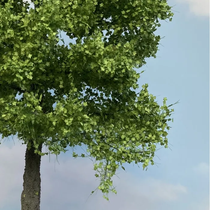 Premium Large Chestnut Tree Spring 270mm tall  Silhouette 391-001-1