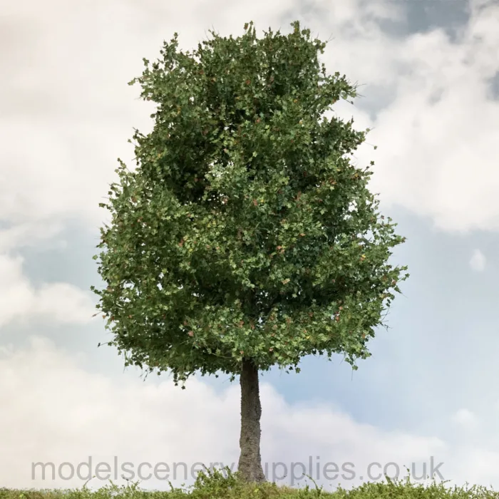 Premium Large Chestnut Tree Late Summer 270mm tall  Silhouette 391-001-3