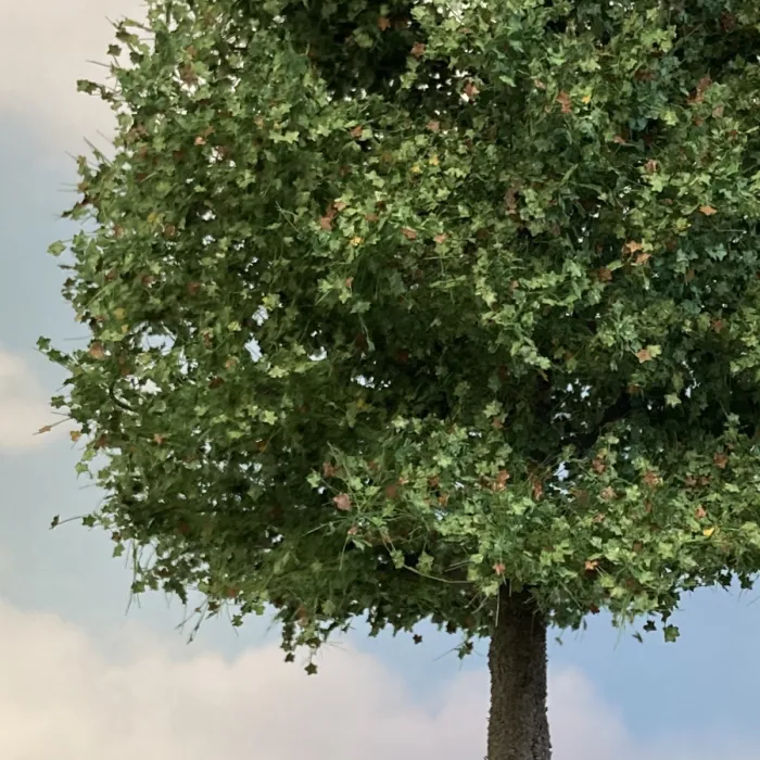 Premium Large Chestnut Tree Late Summer 270mm tall  Silhouette 391-001-3