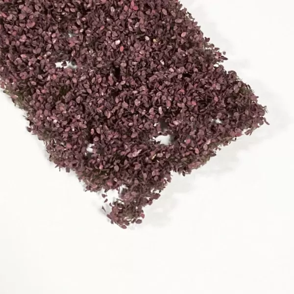 Copper Beech Foliage Sheet MiniNatur 922-22S