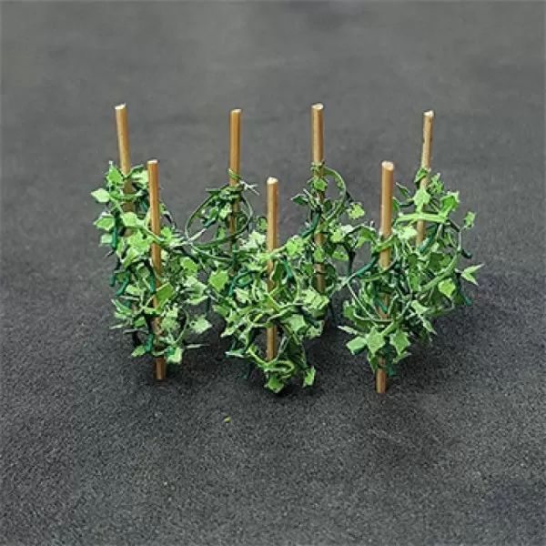 Cucumber Plants N TT OO