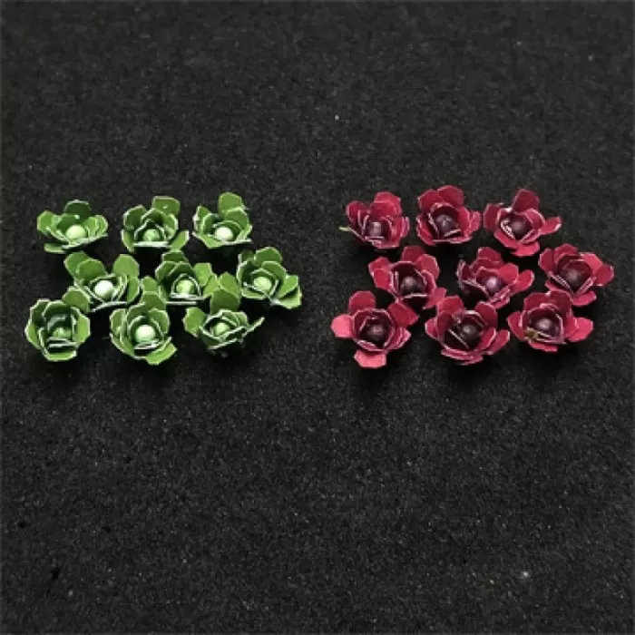 Cabbage plants N Gauge