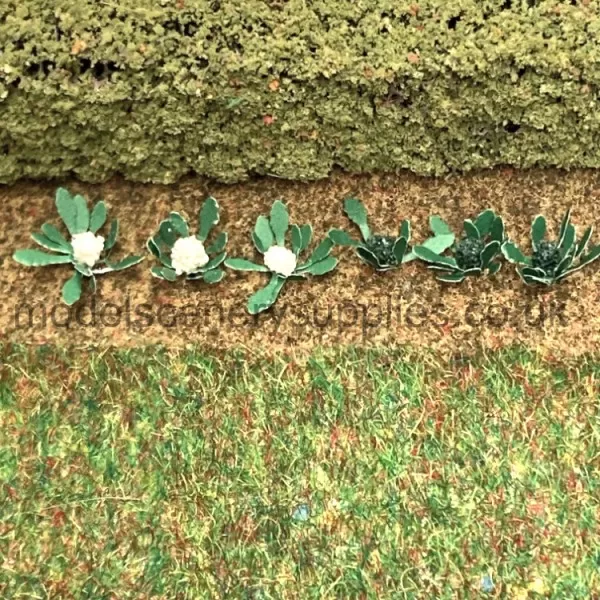 Broccoli and Cauliflowers N gauge