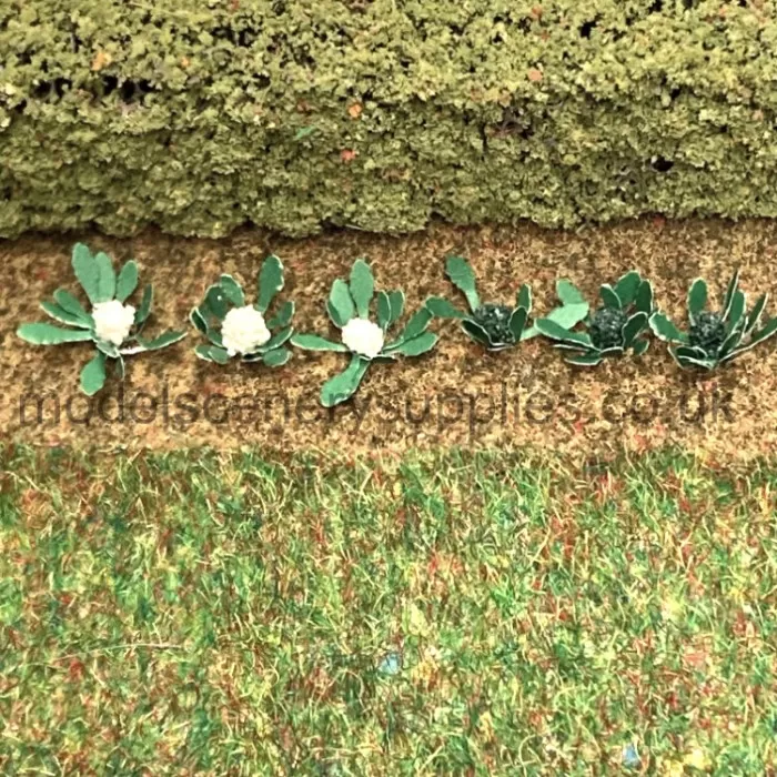 Broccoli and Cauliflowers N gauge