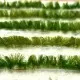 Grass Tuft Strips Narrow 