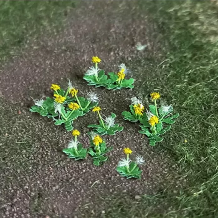 Dandelions Ready made.