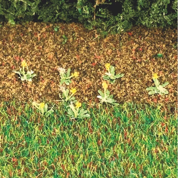 Dandelions Ready made.