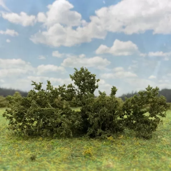 Shrub Bush Thicket Dark Green 