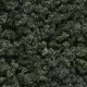 Woodland Scenics Underbrush Forest Blend FC1639 FC139
