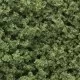 Woodland Scenics Underbrush Light Green FC1635 FC135