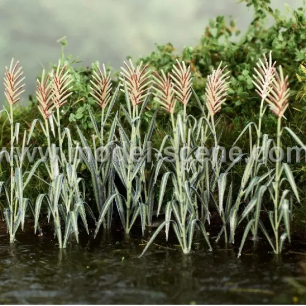 Reeds O gauge 