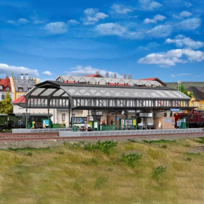 Platform and Canopy N