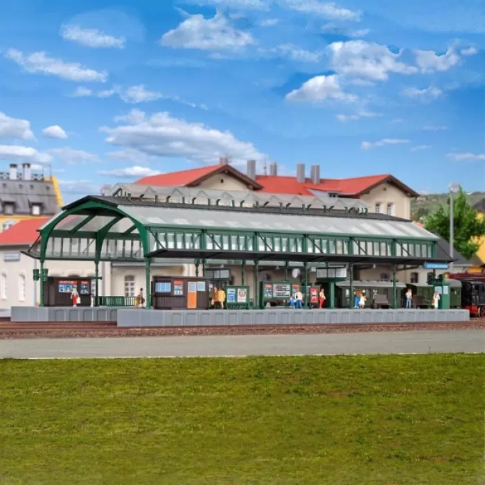 Platform and Canopy N