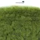 Static Grass Summer Grass 2mm  (100g) WSG2-013