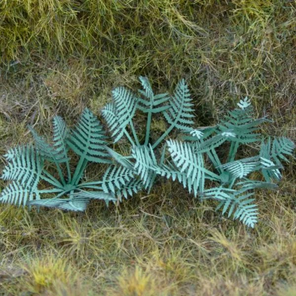 Ferns 24 pack OO