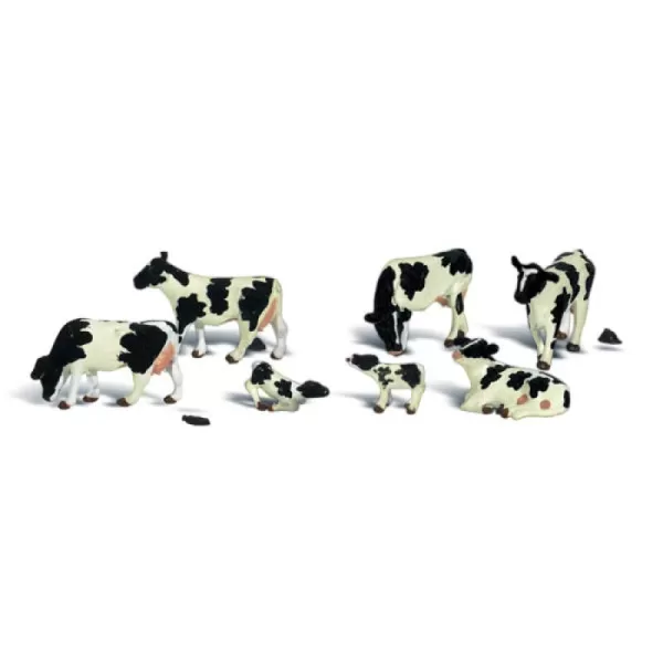 Cows  Black and White OO A1863