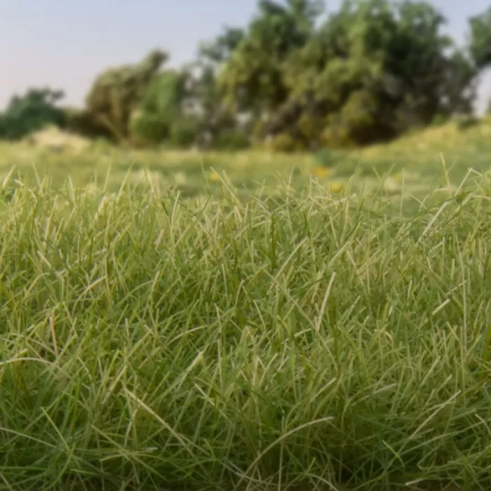 Static Grass Medium Green 2mm Woodland Scenics FS614