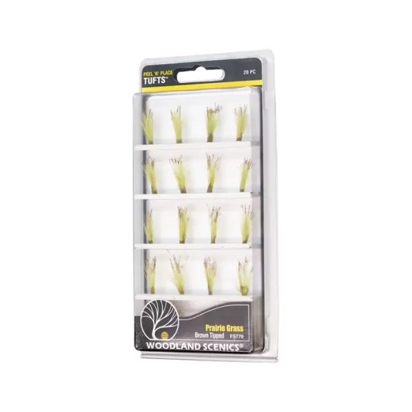 Brown Tipped Prairie Grass FS779