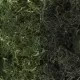 Lichen Dark Green Mix Woodland scenics L168