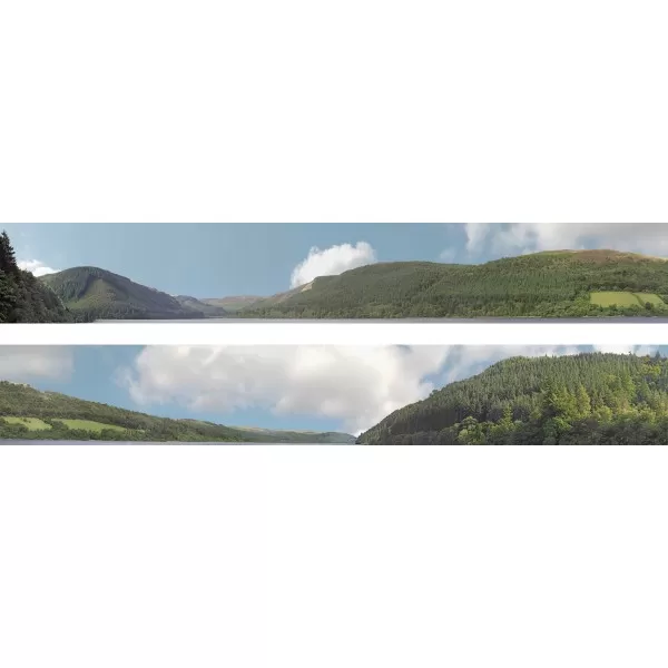 Backscene Forest Hills 201 N gauge